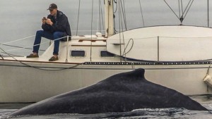 Photographer Eric Smith captured a man off the coast of Redondo Beach, California, engrossed in his phone, while a humpback whale casually lounged just feet from his boat. 